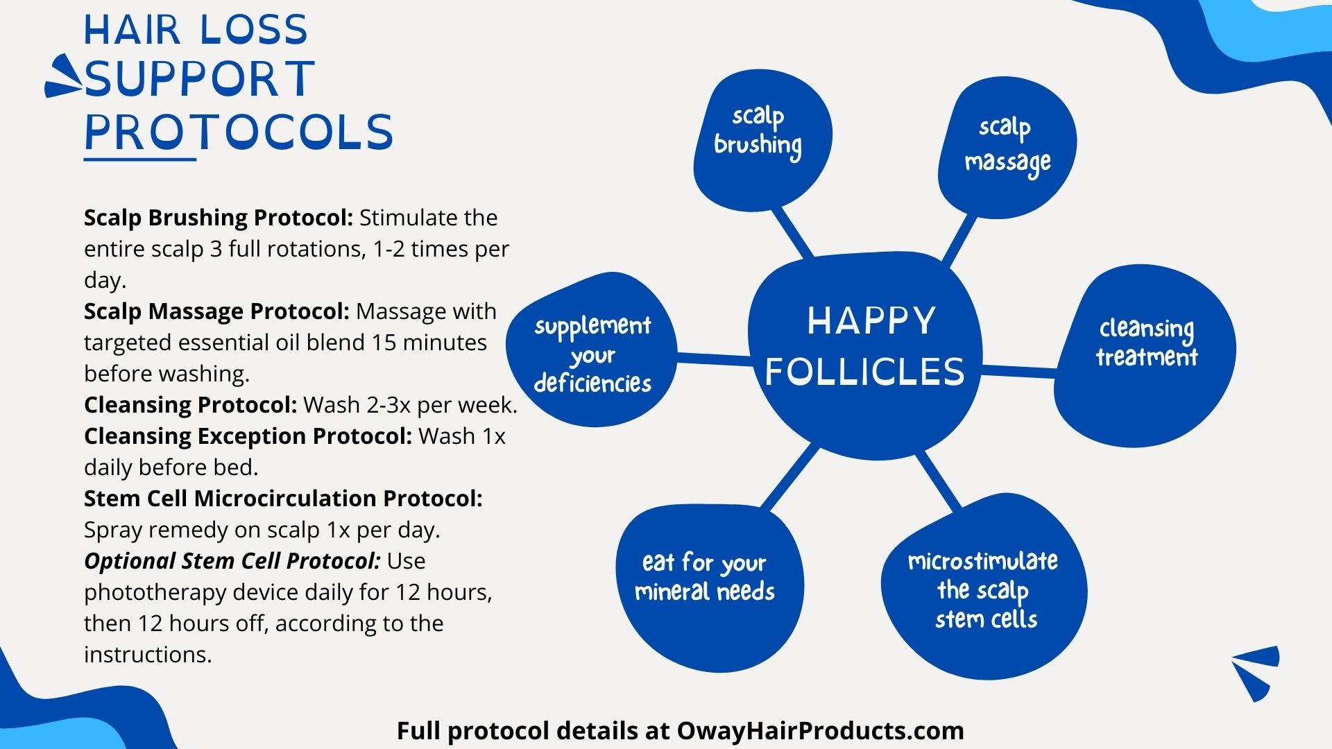 Hair Loss Protocol photo